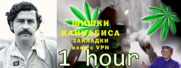 не бодяженный Гусев