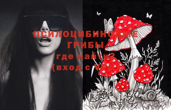 spice Гусь-Хрустальный
