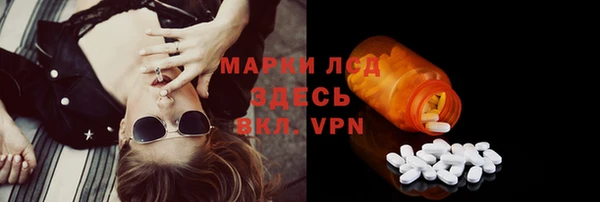 не бодяженный Гусев