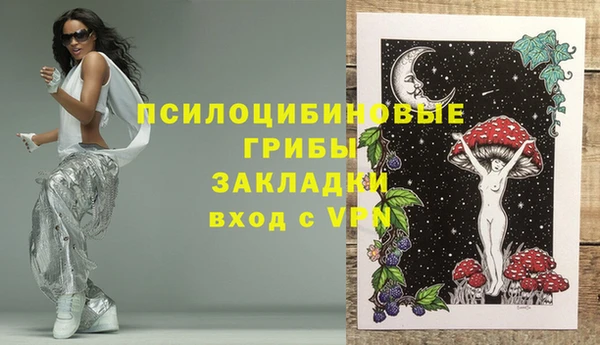 не бодяженный Гусев
