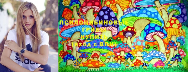 не бодяженный Гусев