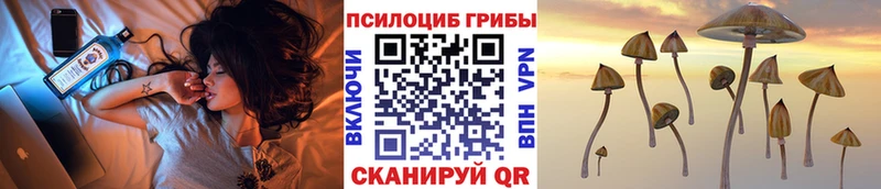 Купить закладки  Кирсанов  Галлюциногенные грибы мицелий 