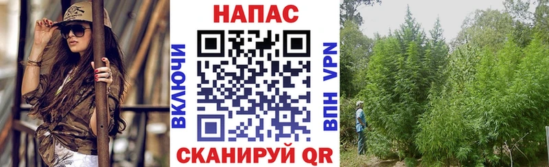 Бошки Шишки AK-47 Кирсанов